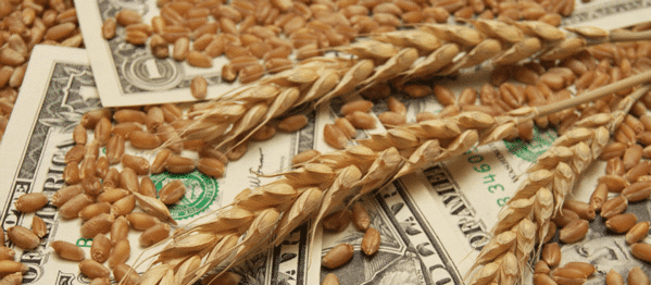 Food, Tech, and Startup Opportunity - Interview with Allogen Founder Ben Teeling