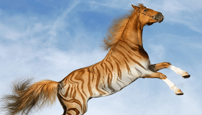 A Brave New World of Transgenic Species - Author Emily Anthes