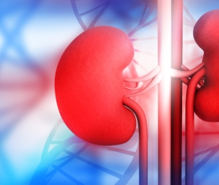 AI for Managing Chronic Kidney Disease