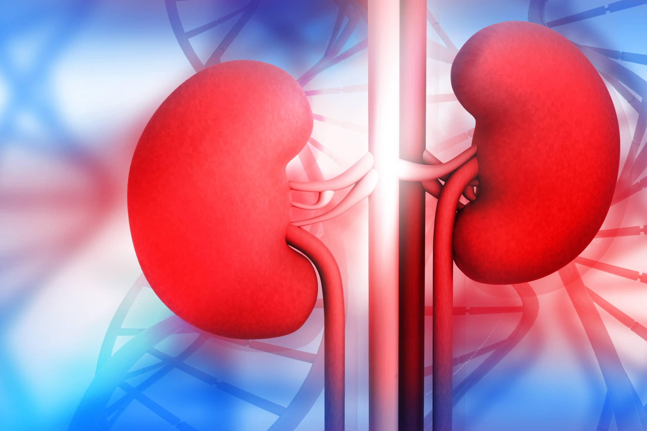 AI for Managing Chronic Kidney Disease