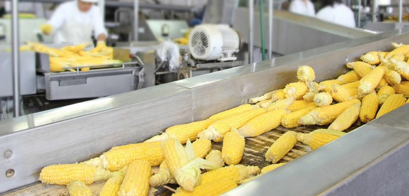 Ai In Food Processing Use Cases And Applications That Matter Emerj Artificial Intelligence