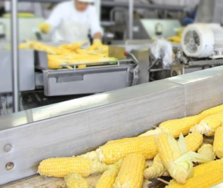 AI in Food Processing - Use Cases and Applications That Matter