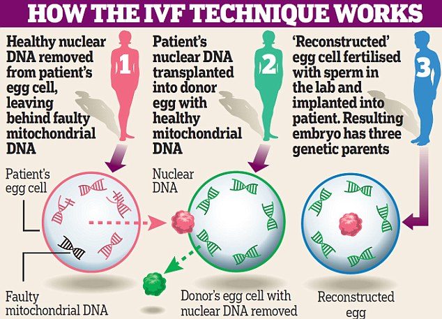 #WatchOutForTheRobots - Dawn of the Three-Parent Child