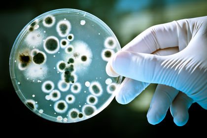 Case Study of a Biotech Startup - with Prospero BioSciences CEO Jonathan Rodriguez