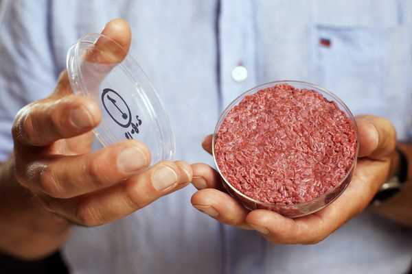 Petri-Dish Burgers – A Step in the Right Direction for Mankind?