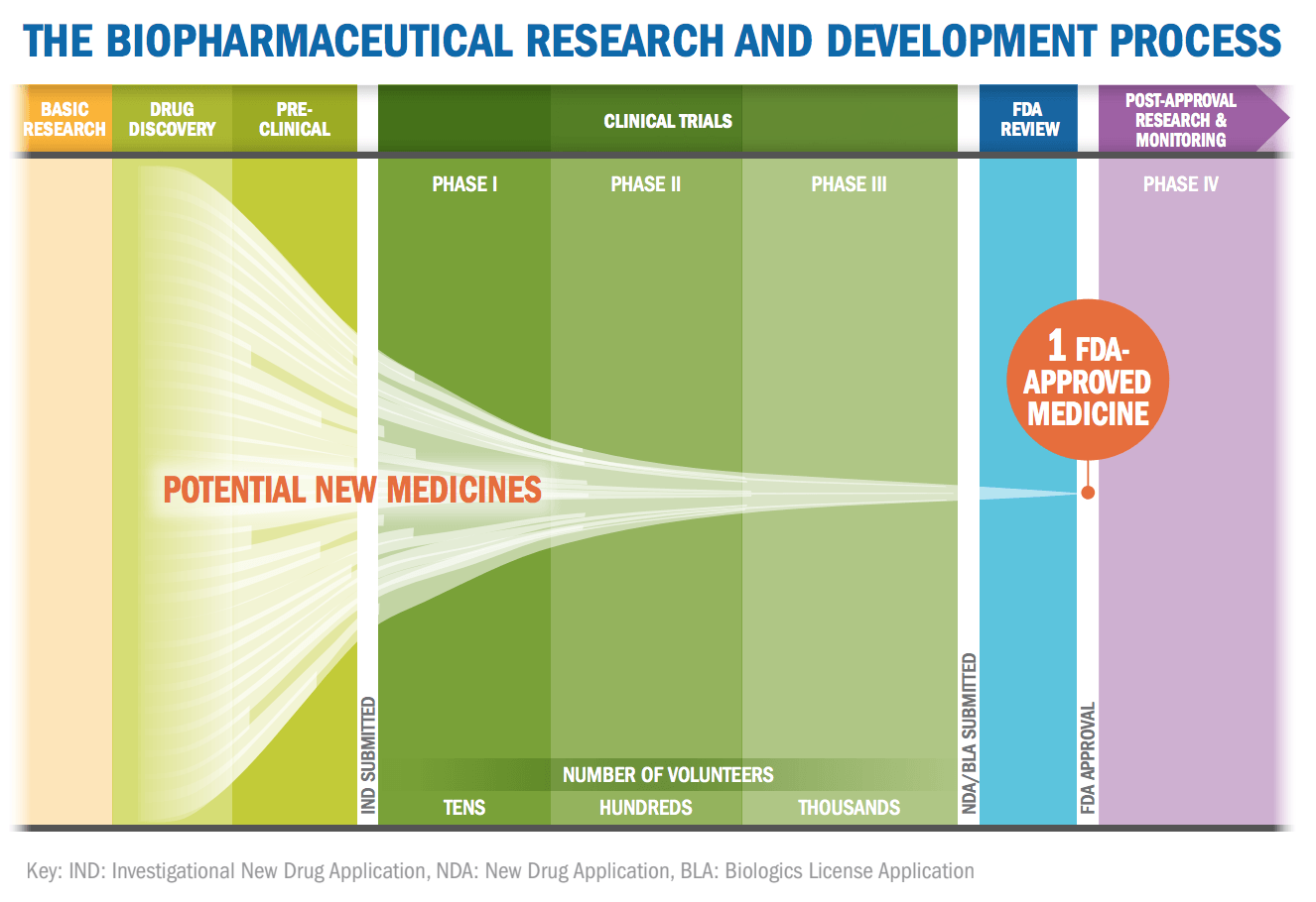 PhRMA drug development process