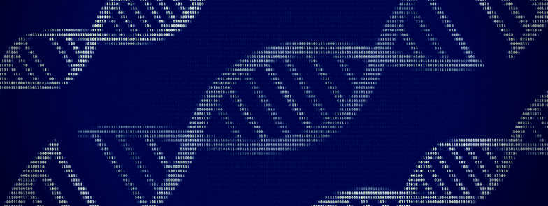 Network Intrusion Detection Using Machine Learning 9