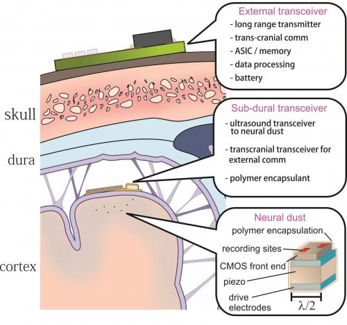 Neural Dust is Better Than Spikes in Your Brain
