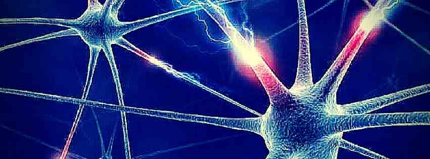 Like a "Limitless" Pill for Deep Neural Networks 1