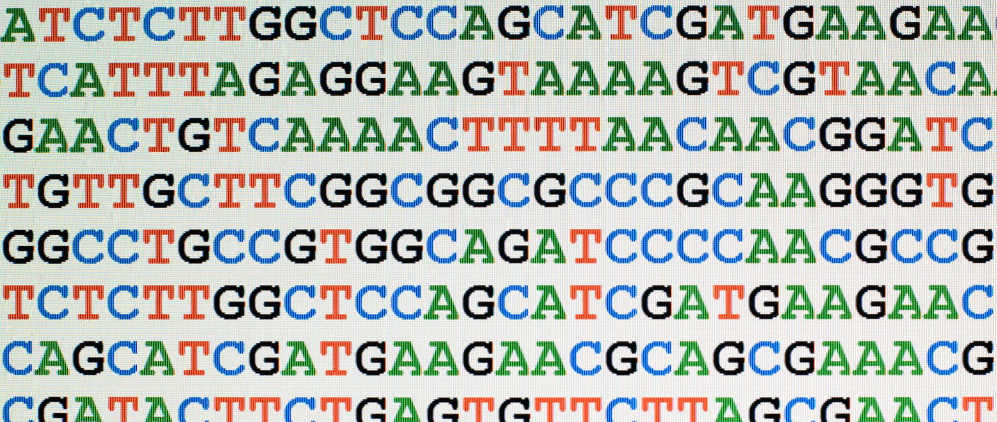 Overcoming the Data and Talent Challenges of AI in Life Sciences